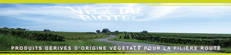 Produits dérivés d'origine végétale pour la filière route